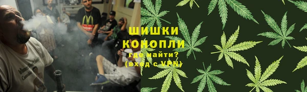 крисы Белоозёрский