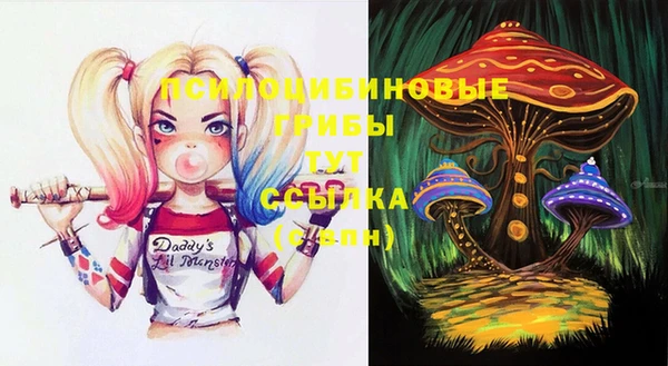 экстази Баксан