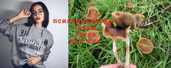 амф Балахна