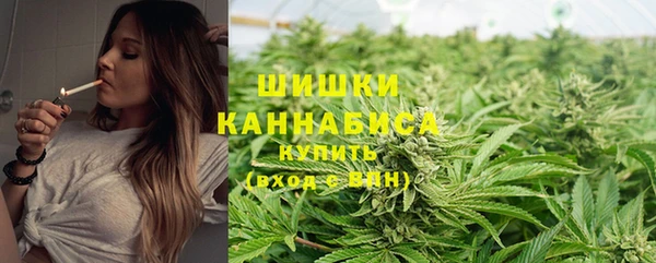 амф Балахна