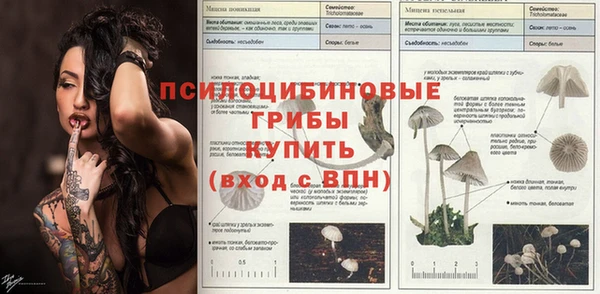 амф Балахна