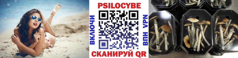 Галлюциногенные грибы мицелий Новый Уренгой